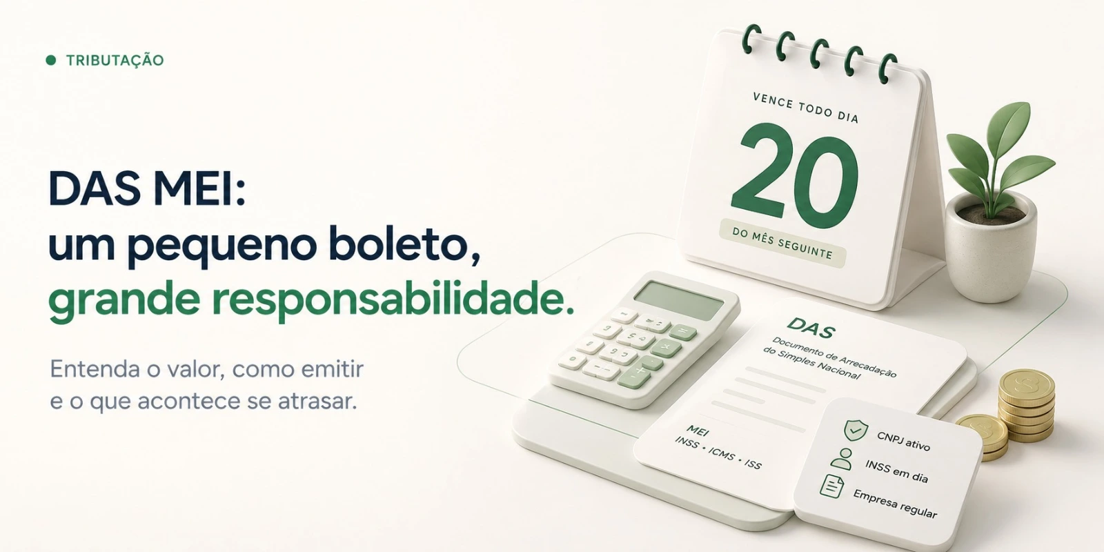 DAS todo dia 20: o que é, como emitir e o que acontece se atrasar